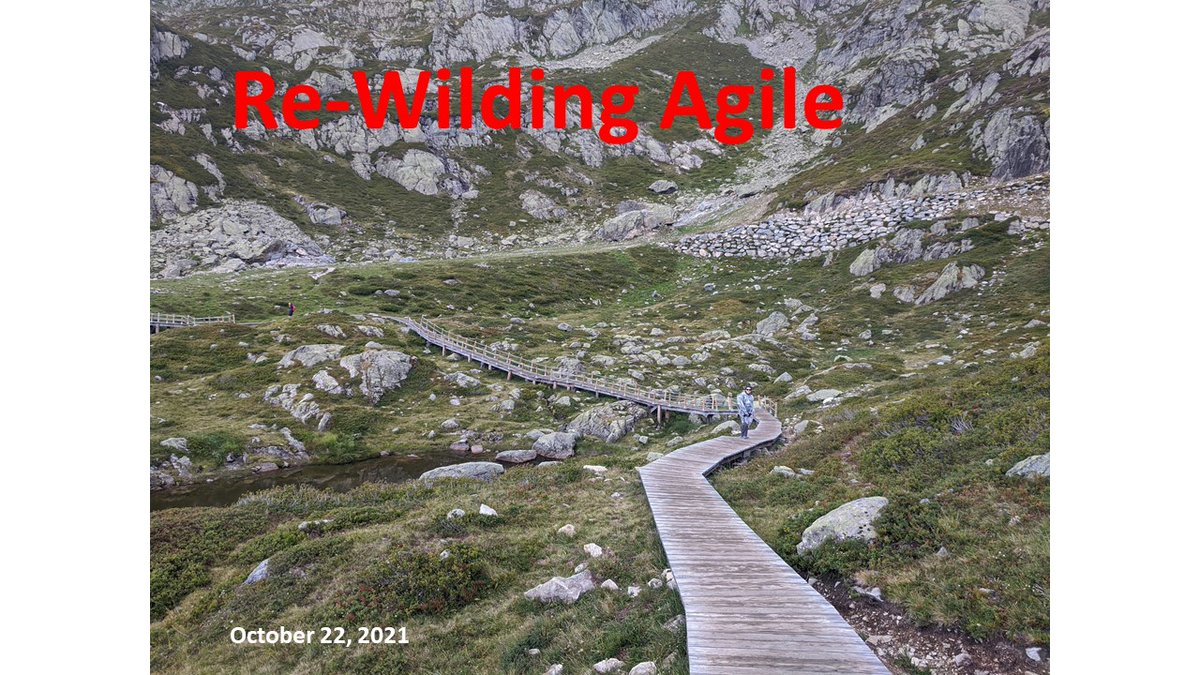 gotprojects's tweet photo. Oct 22, 2021: Agile Open California - IN PERSON! One day event, outdoors in the park, followed up by the BBQ. Come rejoice with the fellow agilists (vaccination required). Theme of the event: Re-Wilding #agile Tickets/details on Eventbrite https://t.co/KAyHG7HlIx https://t.co/TQQwDEOVq4