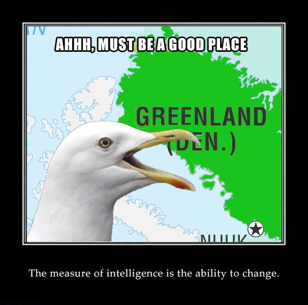 Web3Seagull's tweet photo. Imma moving to Greenland...somewhere literally GREEN.#Crypto #BTC #Altcoins https://t.co/vS1e5SiLAb