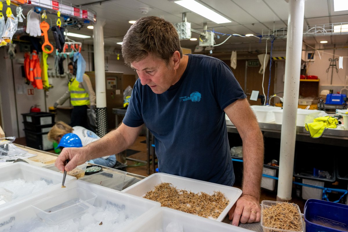 Meet Mel and Tim in our next Meet the Museum webinar to learn all about their recent voyage exploring the deep-waters around Christmas Island. #MeetTheMuseum #MeetTheScientist <a href="/museumsvictoria/">Museums Victoria</a> 
museumsvictoria.com.au/melbournemuseu…