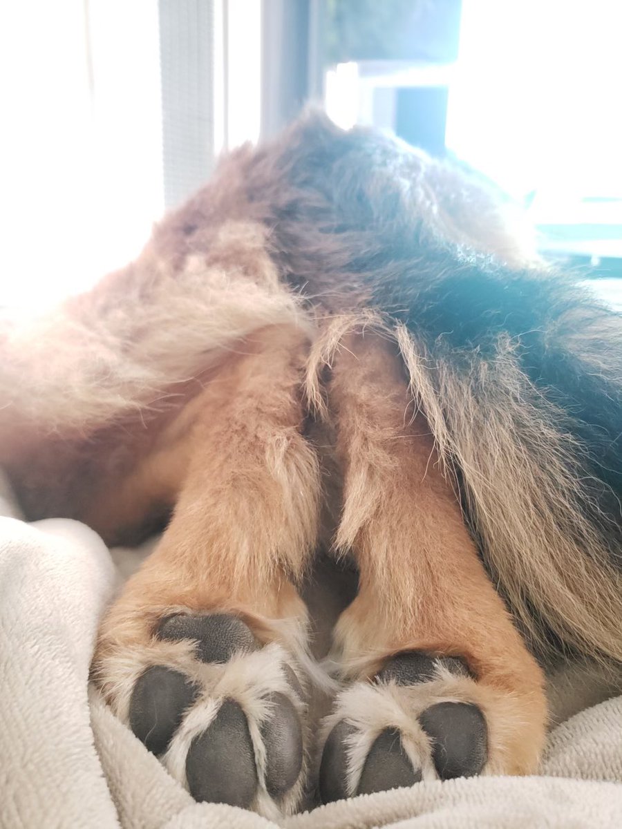 Somebody has a case of the Mondays.