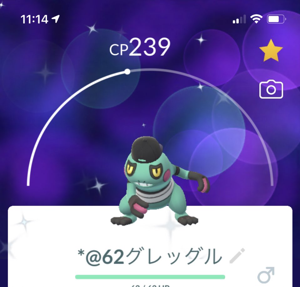 衣装グレッグル色違いのオスとメス ポケモンgo ツイレポ