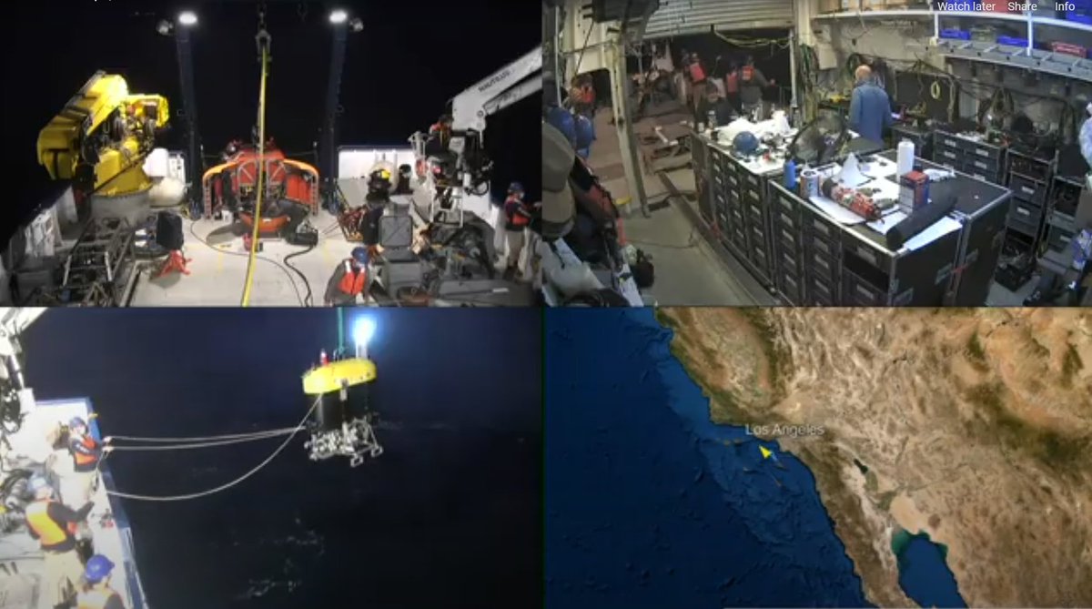 oceanbots's tweet photo. Different set of bots doing oceany things on Nautilus #nautiluslive https://t.co/Hig3FJ2M3g https://t.co/hKZPMxOyUr
