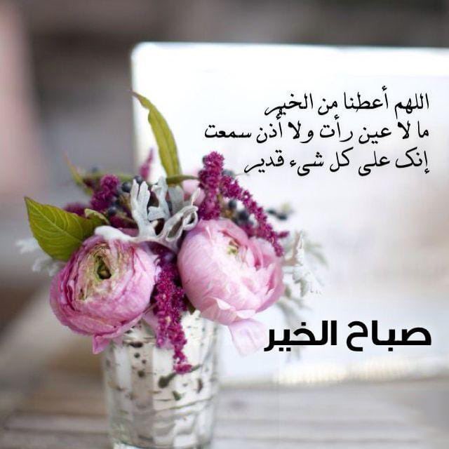 فايز الرشيدي (@fazi4444) on Twitter photo 