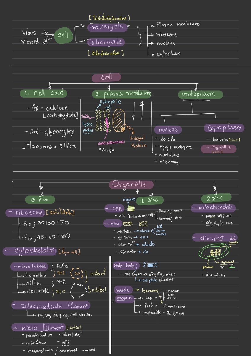 สรุปชีวะเรื่องเซลล์ พี่แบงค์แนะนำให้น้องๆต้องพยายามฝึกเขียนเป็นภาพแบบรวมนี้ให้ได้เองก่อนนะครับ แล้วน้องๆจะจำและเห็นภาพรวมของบทนี้ได้ดีเลย พอไปอ่านหนังสือเรื่องนี้น้องๆจะอ่านเข้าใจขึ้นมากเลยครับ #สรุปชีวเรื่องเซลล์ #ชีวมัธยมปลาย #ชีวะม4 #dek65 #pat2 #ชีวะ9สามัญ #9สามัญชีวะ