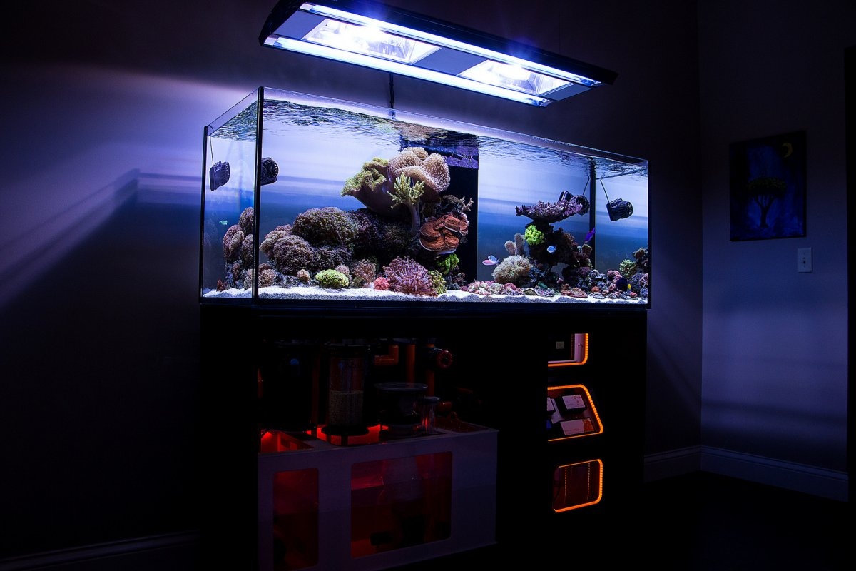 https://www.reef2reef.com/threads/is-your-aquarium-water-as-clear-as-you-wo...