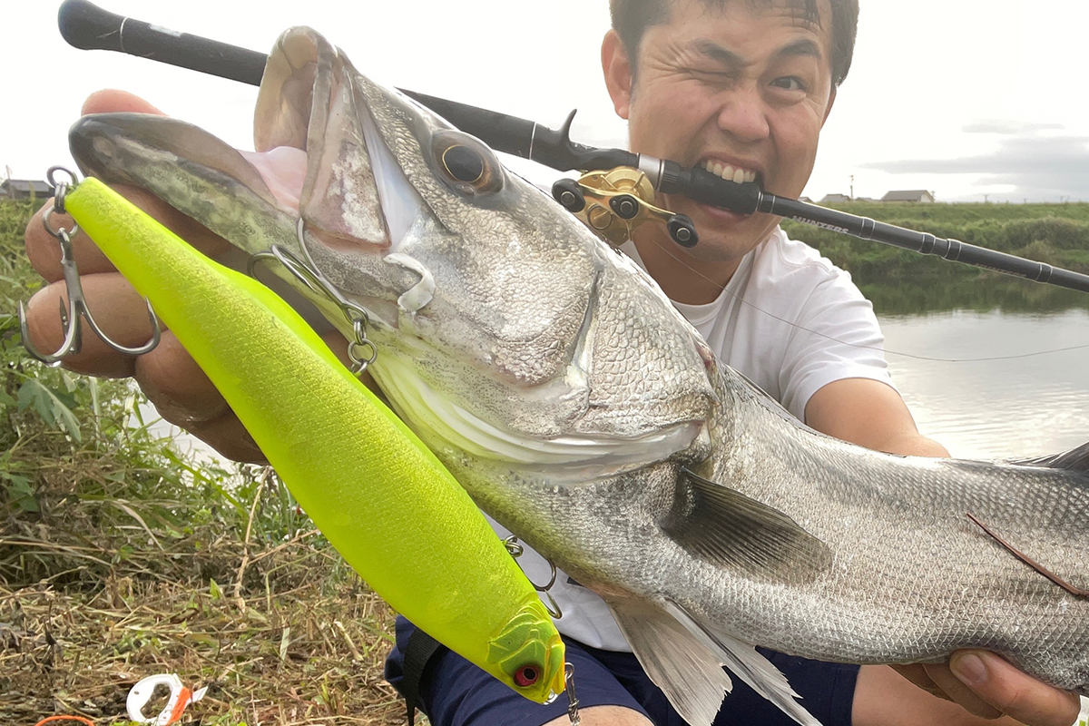 fimosw's tweet image. 【メガバス】メガドッグ180が届いた‼

早速地元の河川中流域で…😆
▼fimosw.com/u/Megabass/4ib…

＃メガバス
＃fimoブログ
＃メガドッグ180