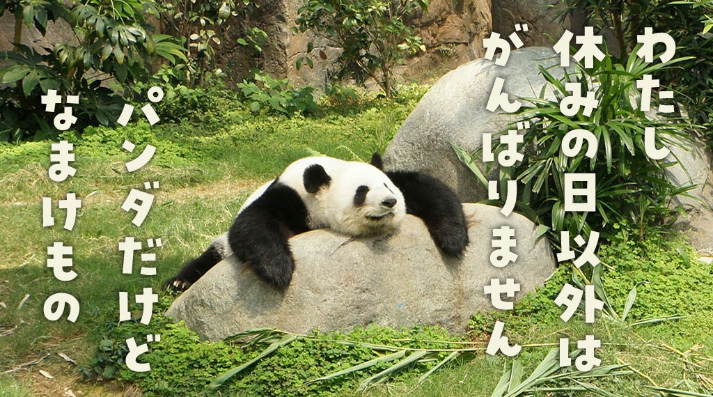 Font Lang Ja Twitter Search