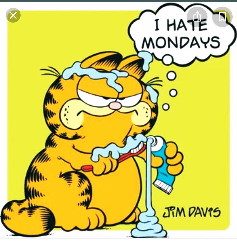 RyleyMclaughlin's tweet photo. How I’m ending today after watching both my fantasy team, and the eagles lose. https://t.co/2Mw664quTn