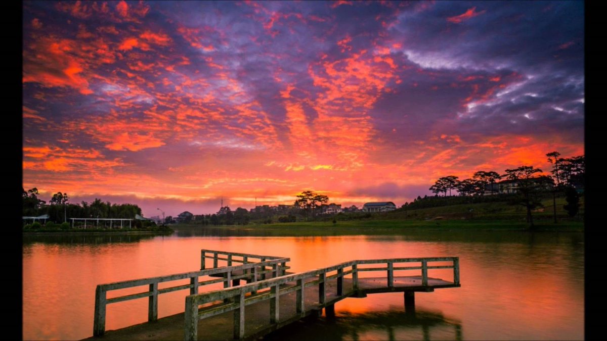 Willaims Sickles (@sickleswillaims) on Twitter photo 