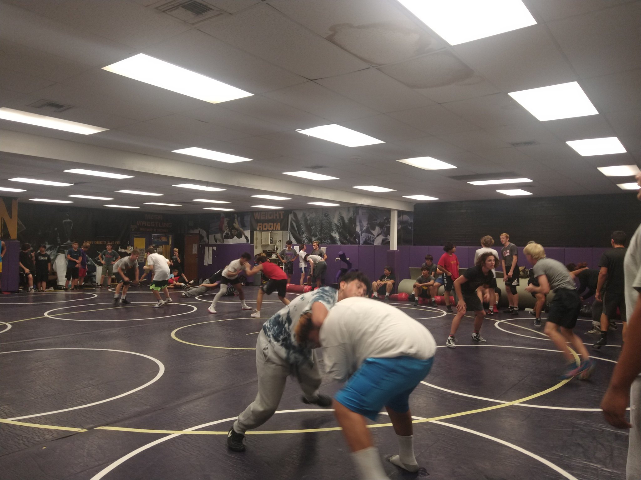 Mesa High Wrestling Hot Room Again Tonight 7 Different Schools Mesahsathletics Wcatswrestling Wfbhwrestling Brophysports Acpcoachhuffman Wrestlingdobson Mvtorowrestling T Co 02gjeaayvu Twitter
