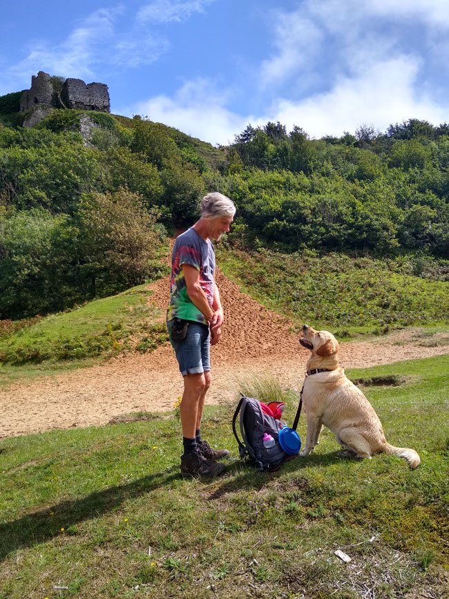 MedDetectDogs's tweet photo. Got plans tomorrow night? Join us on Zoom at 7pm and find out more about our Super Sniffers. You'll meet one of our amazing clients, Bob, and his Medical Alert Assistance Dog, Mac, and learn about the science behind the sniff. 

Sign up for your place at https://t.co/sKDwFAdbrs https://t.co/1sPUzs3fOw