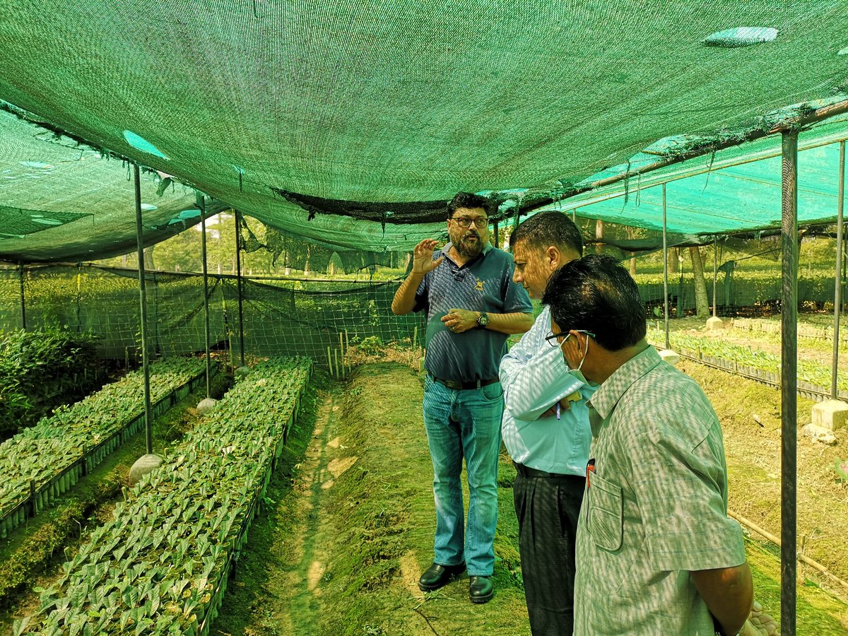 ymnepal's tweet photo. @Agriterra Nepal organised an exchange  visit for Prithvinagar coop to Tea Research Association, Assam to learn the new technology in Tea production. https://t.co/2UMOxtE7YF