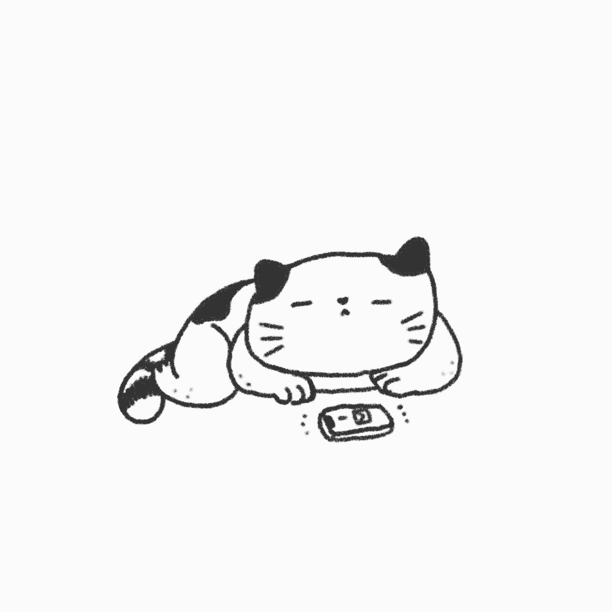 darwingcats's tweet photo. Waiting
#パクジョンウ魅力やっば #firsttweet https://t.co/ij2HpLCdKW