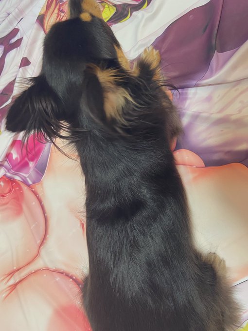 やめろーーー!!!!!!(大暴れ 