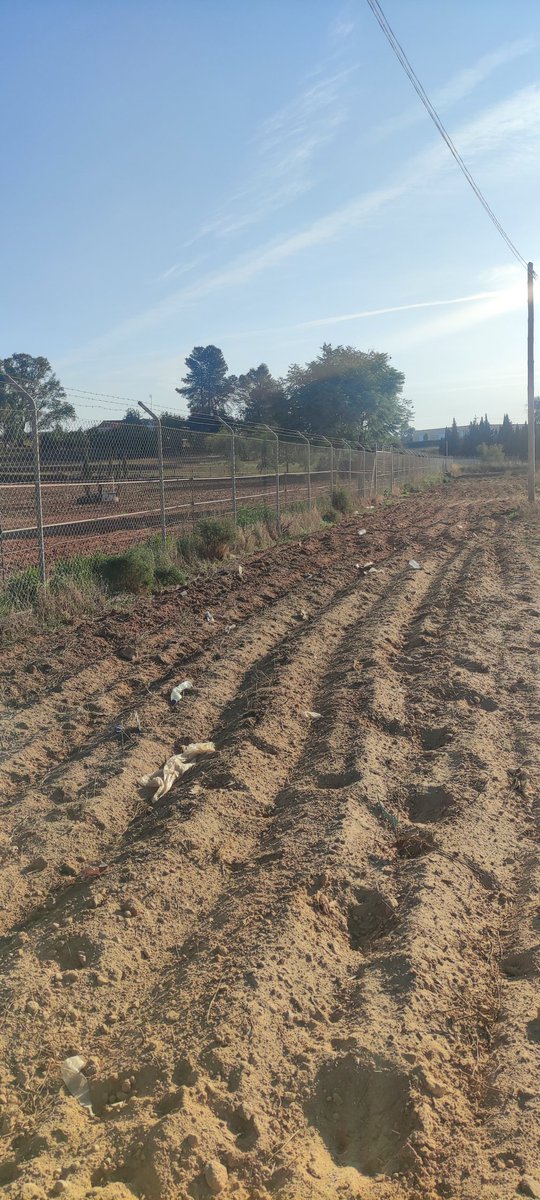 ___mafalda_'s tweet photo. #CarmonaSucia @JuanAvilaCARMO Trotando por Carmona... Qué lástima! ¿Qué espera el ayuntamiento para concienciar y sensibilizar más a la gente? Muchas publicidades en el pueblo. Ni un cartel para la limpieza de nuestro pueblo! https://t.co/9GLO7T1awl