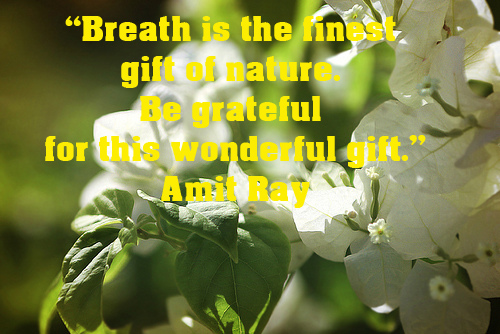 miraclegrids's tweet photo. Know how wonderful U R https://t.co/jTsPujDMKR #lovingpeace https://t.co/MBHbXC7V2S