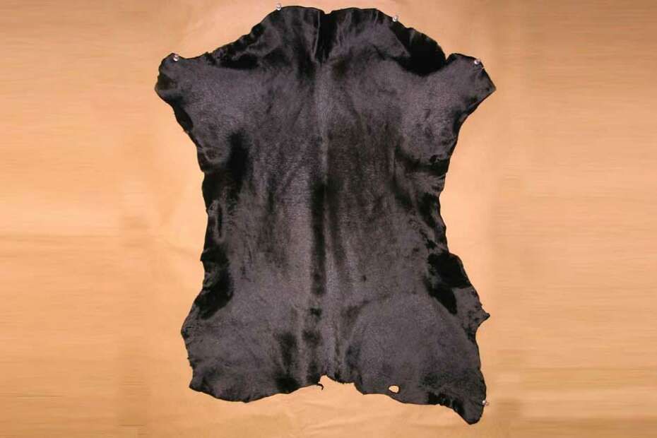 jacket_maker's tweet image. Calfskin leather has a more smooth and luxurious feel along with more durability than regular cowhide. No wonder it is at the top of the hierarchy in terms of quality and desirability. Read this article to find out more! buff.ly/3u2ZO6O

#CalfskinLeather #TheJacketMaker