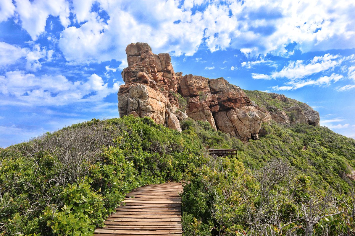Tebogo_PinPin's tweet photo. It's the season to spend more time enjoying the outdoors and visiting some of our wonderful reserves. Robberg Nature Reserve is definitely one of the reserves you should visit when you are around Plettenberg Bay.

#RobbergNatureReserve #CapeNature

@CapeNature1 @Plett_Tourism https://t.co/9ven79RmtL