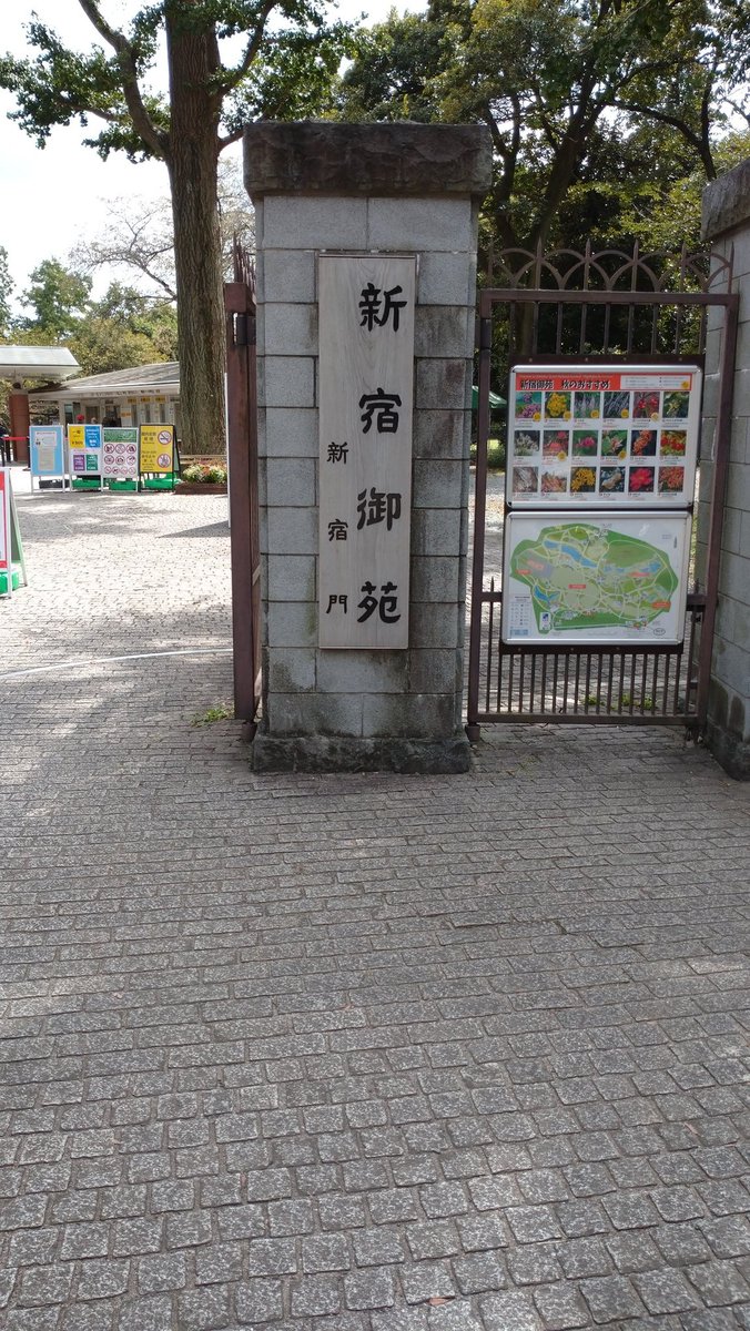 Top Tweets For 巣活 Twstalker