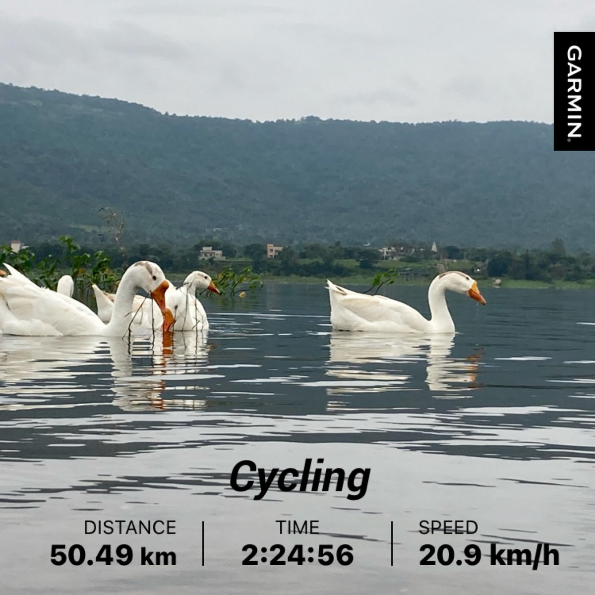 akhaware's tweet image. 50 kms #cycling to Kasarsai Dam. No crowd today, just 3 friends, many ducks, few dogs and tea stall. Enjoyed breathing more fresh air and watching the beauty around and of course clicks pictures. #ChasingSunlight seems a challenge today.