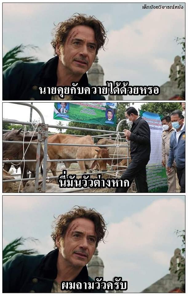filmhoho tweet media