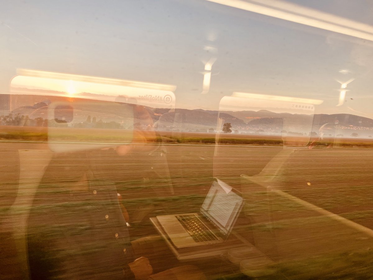 GoetzJacky's tweet image. Two early-bird trains for a nice thesis defense by Candice Bohaud at @DjouadLab @umontpellier #zebrafish #regeneration #irmb