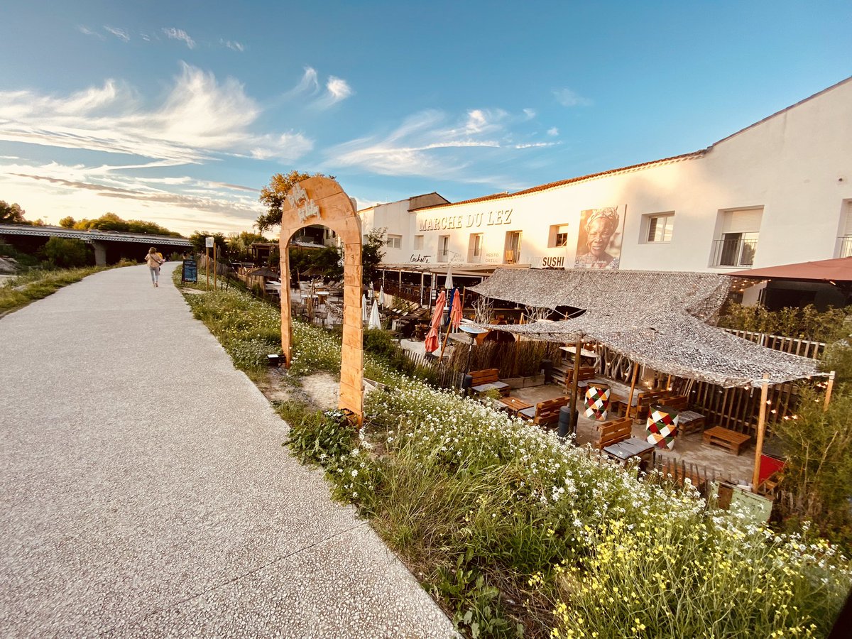 GoetzJacky's tweet image. Two early-bird trains for a nice thesis defense by Candice Bohaud at @DjouadLab @umontpellier #zebrafish #regeneration #irmb