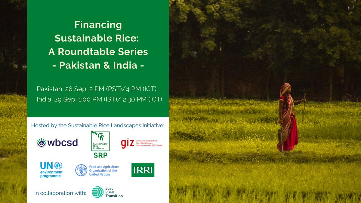 SRP_Rice's tweet photo. Don't miss: Financing Sustainable Rice - Pakistan &amp; India (today &amp; tomorrow).
Offering stakeholders from across the finance value chain the opportunity to meet and discuss potential scaled solutions for financing sustainable rice.
Register here: https://t.co/2zo2ExV2DI.
#webinar https://t.co/fuhT0zv9mj