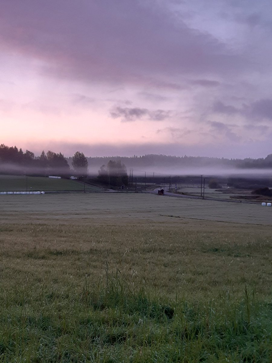 Ulkoilusta vireyttä työpäivään ❤ Aamun kauneus. #aamu #työpäivä #tasapaino