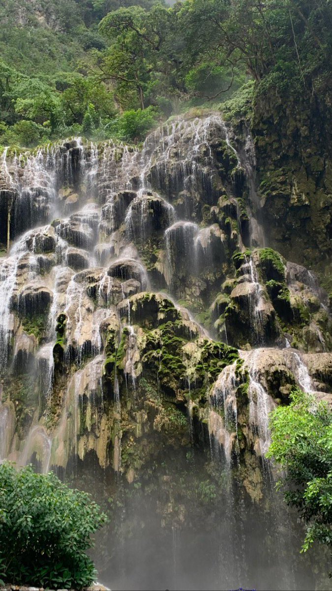 FatimaLopezSkz's tweet photo. Hace poco fui a un lugar hermoso y en verdad el estar ahí fue tan relajante, igual de relajante que cuando escucho tu voz o simplemente veo videos de ti, tu le traes felicidad y relajación a mi persona y te agradezco por eso. <3

📍Tolantongo, Hidalgo, México
#TripWithBangChan https://t.co/xb3TyE070T