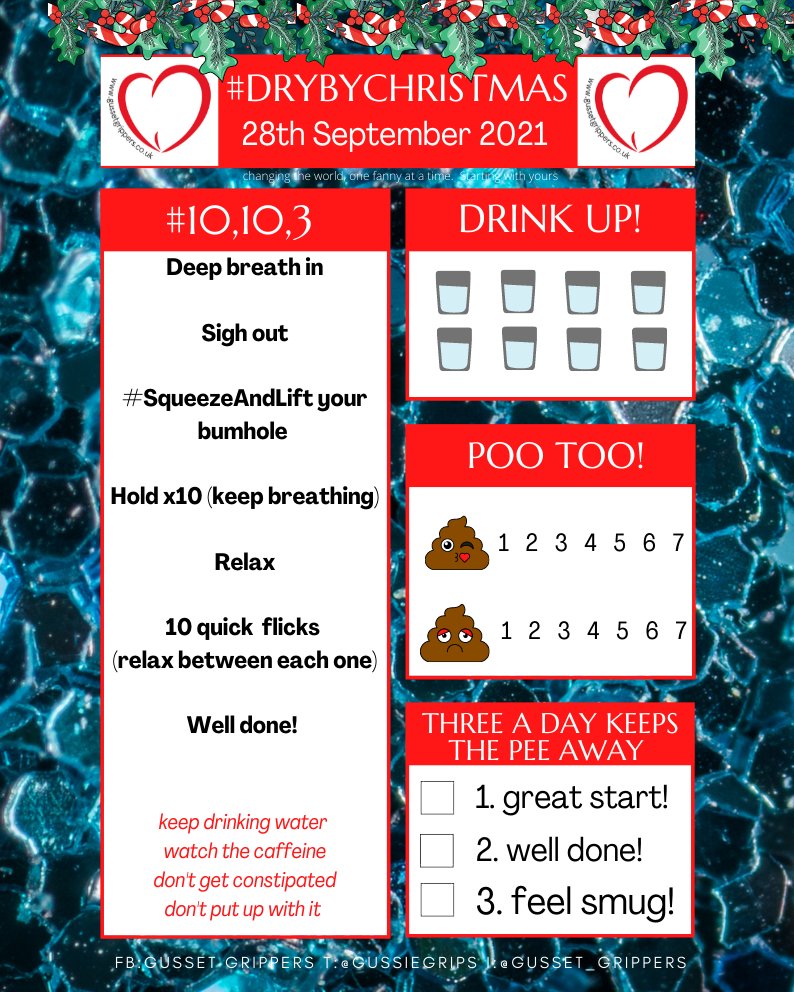 GussieGrips's tweet photo. Changing the world, one fanny at a time.  Starting with yours.  #DryByChristmas  #DoYourPelvicFloorExercises https://t.co/1hNt6zHYaO