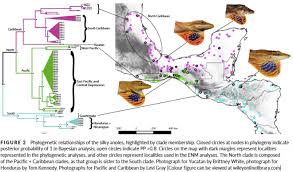 Forensic Toxicology and Pharmacology tweet media