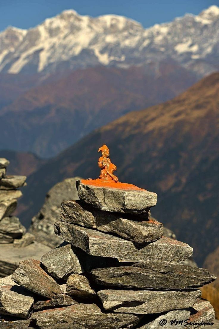 Garima Singh tweet media