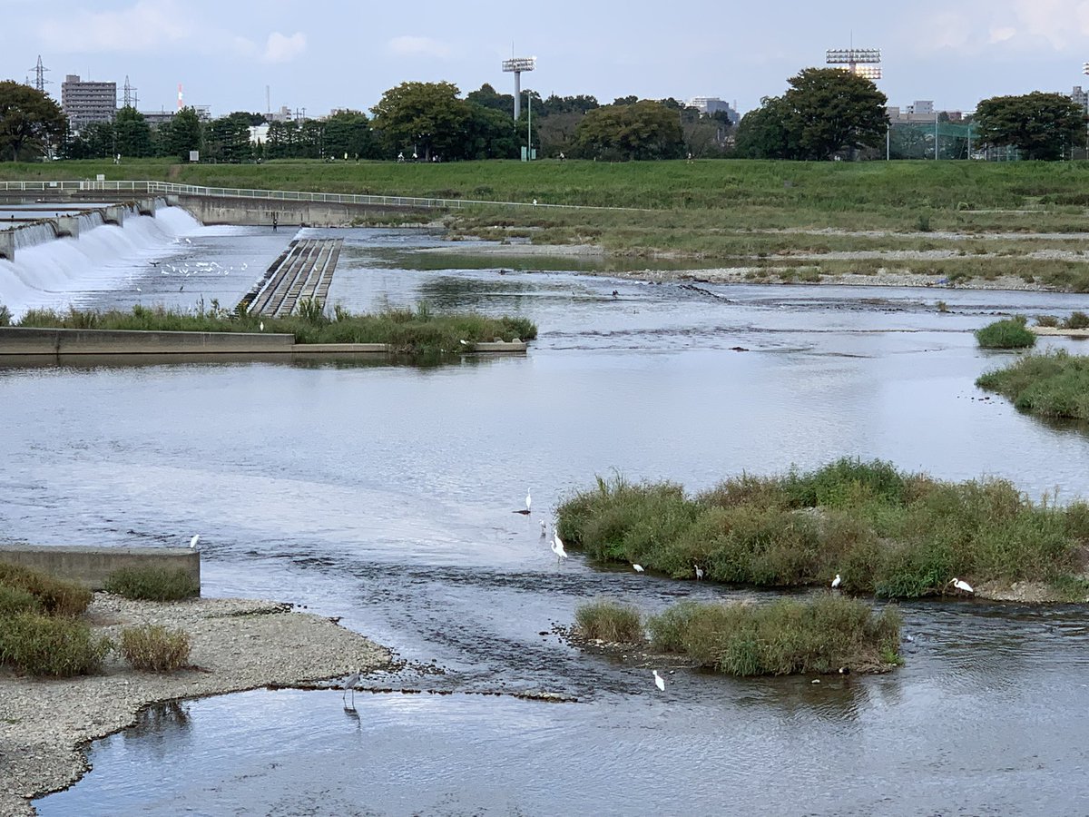 いか文庫 バイトちゃん Ika Baitochan Twitter
