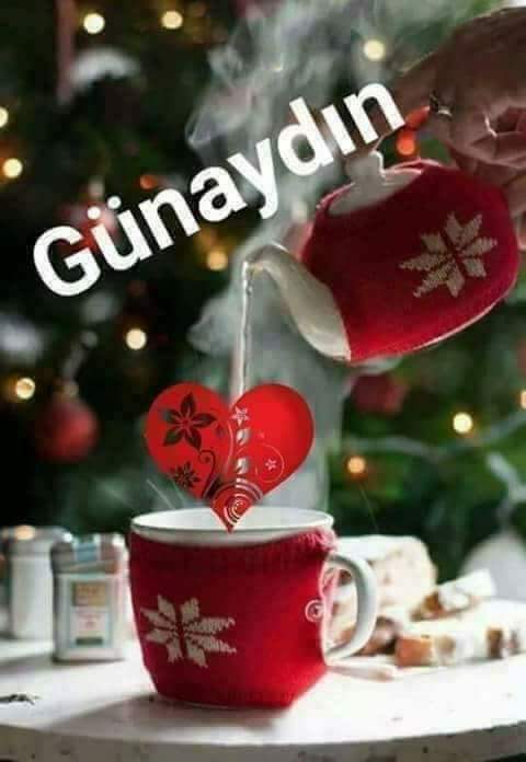 TokayIsmali's tweet photo. https://t.co/U7AcpmC9be