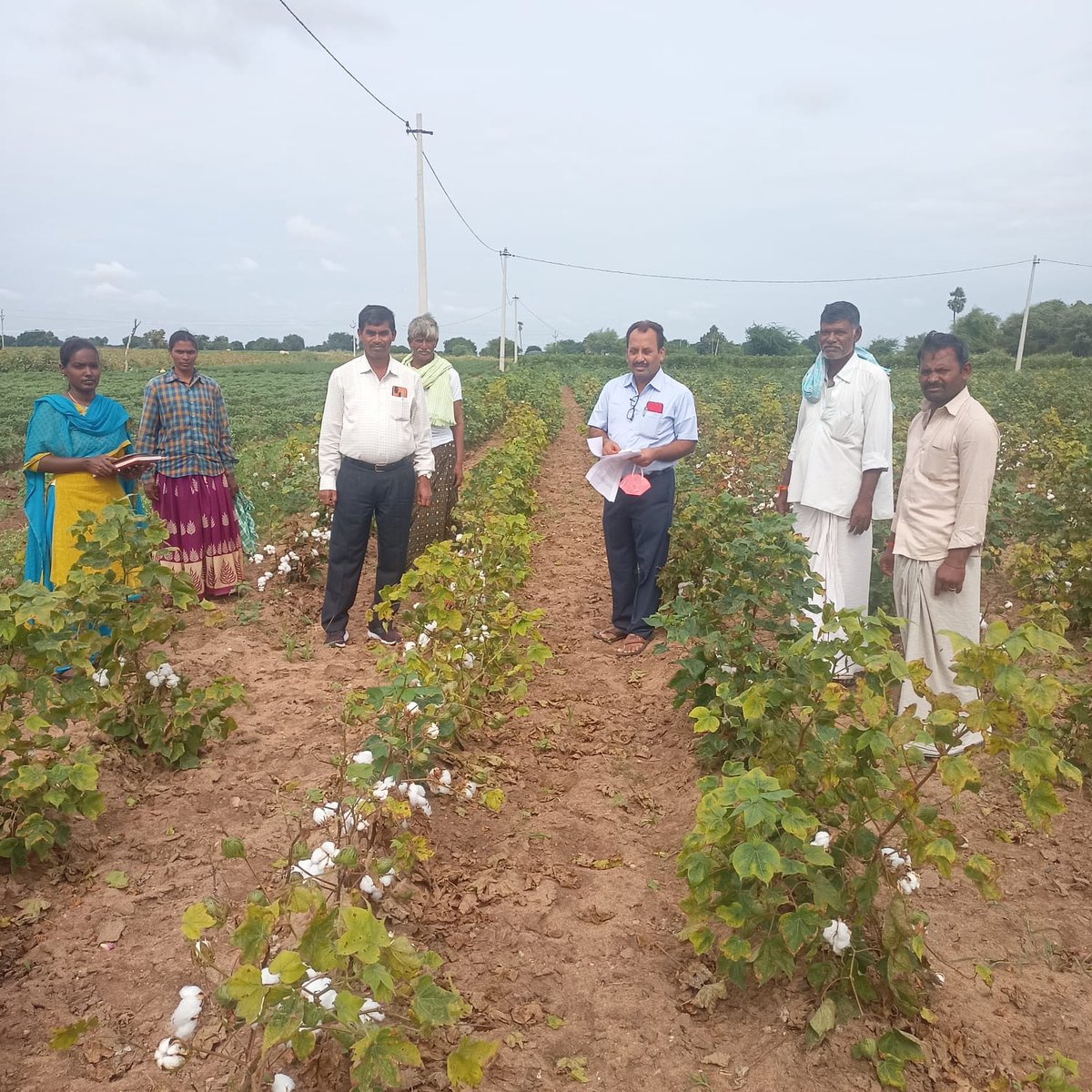 daojogulamba's tweet photo. Good morning sir /madam,
Today I along with ADA inspected crops in Maldakal mandal if any damage due to rains. As on day no damage is observed. DAO https://t.co/itF2JdLNPa