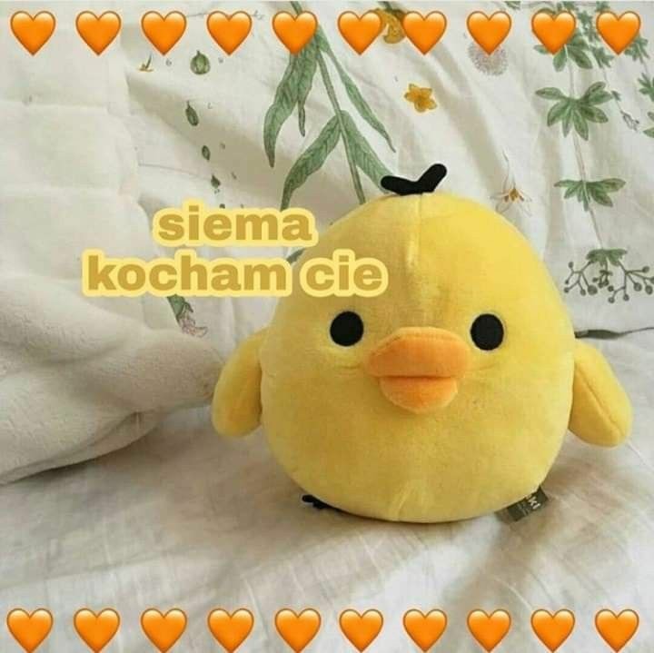 fendixmendi's tweet image. 