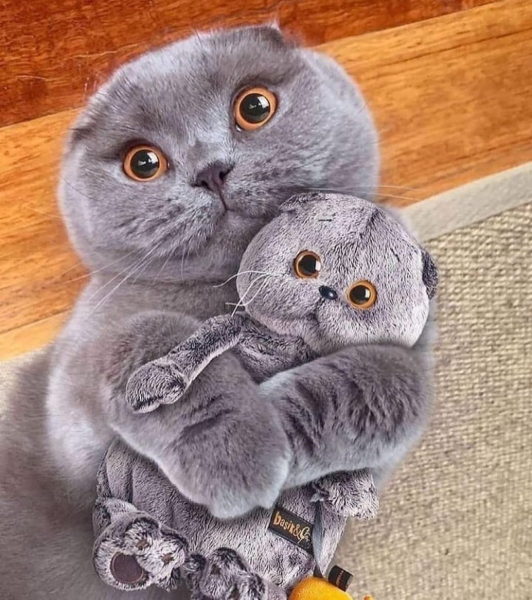 Günaydın 
herşeye rağmen içimizde varolan yaşam enerjisine😊

Mutlu bir güne olsun
#salı