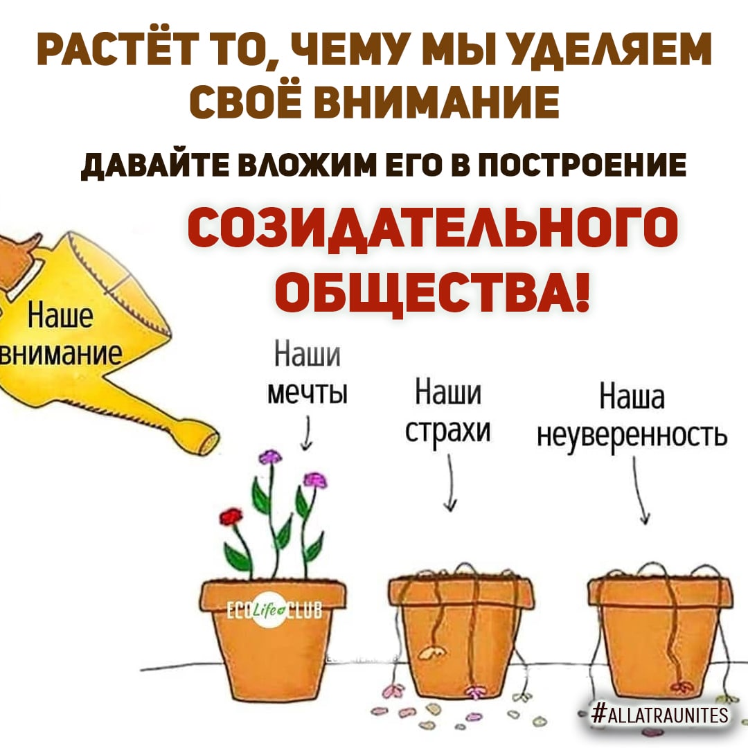 OlgaSemench tweet picture