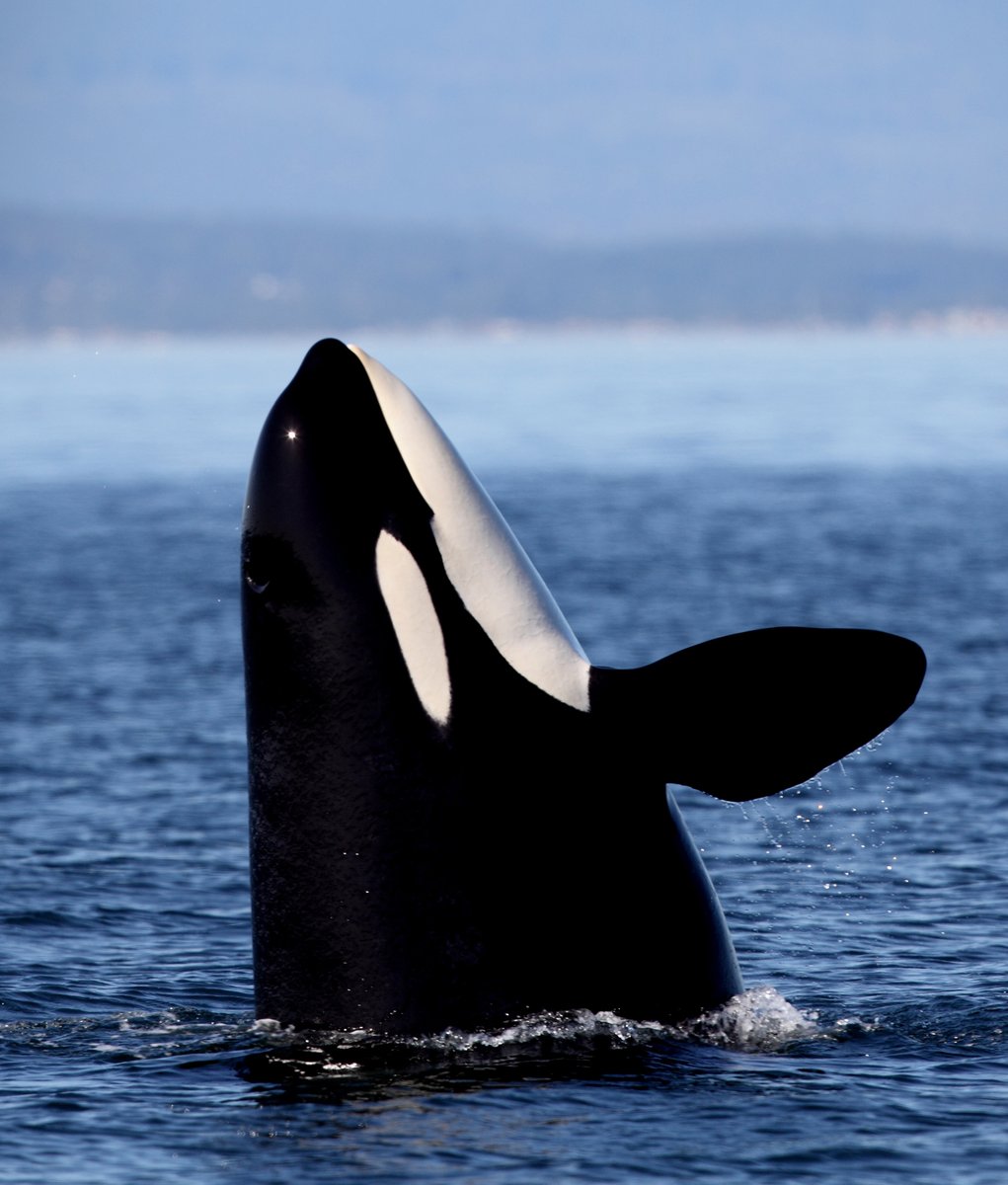 Andrew Smith tweet media