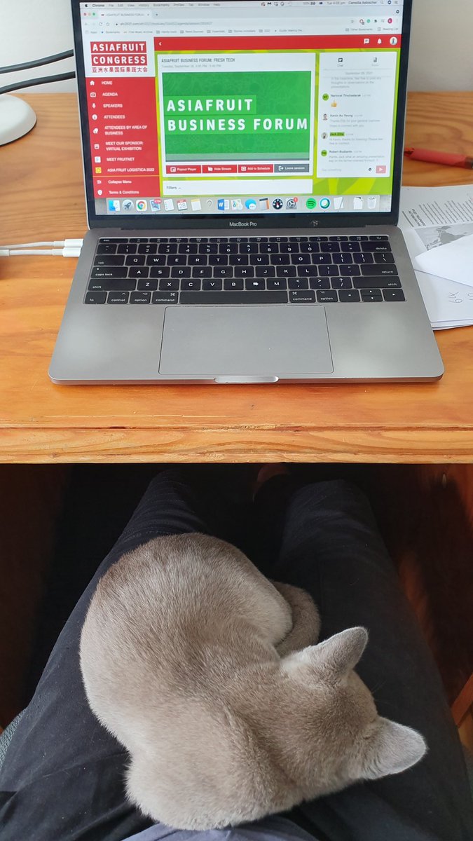 Liam O'Callaghan tweet media