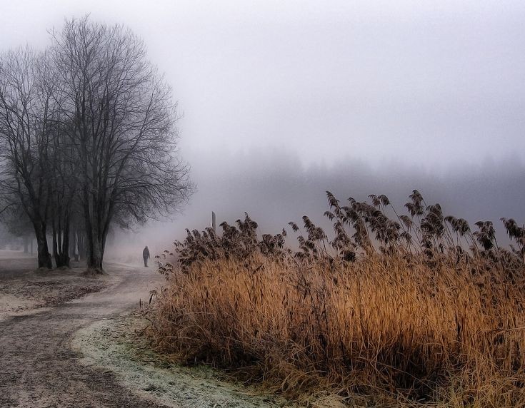 AcademiaDreams's tweet photo. Autumn fog https://t.co/5gIpPQC1kS