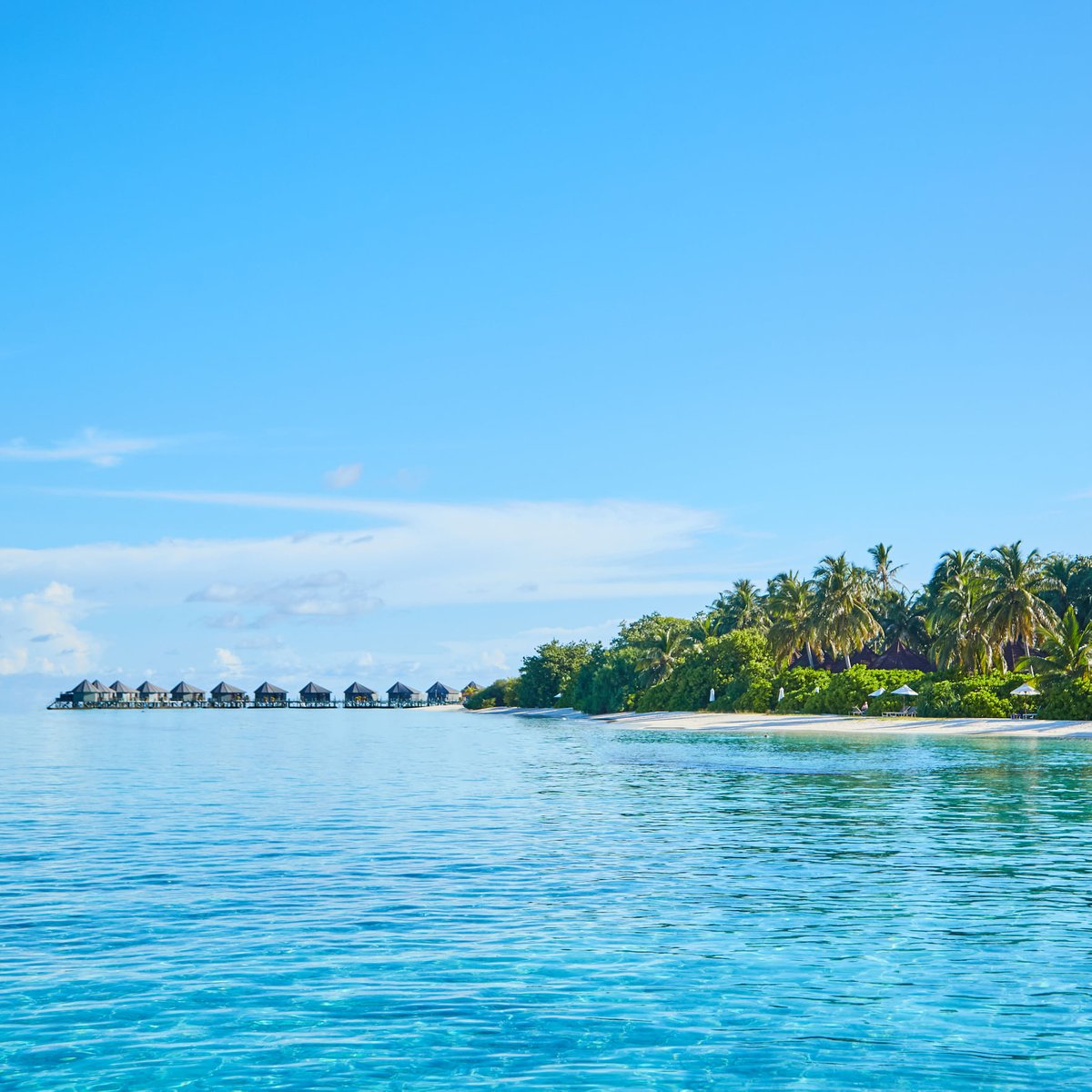 25% EXTRA Discount from rates

maxmaldives.com/hotels/komando…

#KomandooResort #Komandoo_Resort #Komandoo_Maldives #KomandooMaldives #Komandoo_Island #Komandoo_Resort_Maldives #Komandoo_Island_Resort_Maldives

maxmaldives.com @MAX_maldives  #MAXMaldives info@MaxMaldives.com