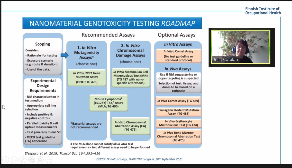 pennynymark's tweet photo. If you´re attending #EUROTOX2021 and are into #nanotoxicology don´t miss our session - LIVE now! CEC05: Nanotoxicology - Julia Catalán from #FIOH is now talking about #genotoxicity https://t.co/i3oxI7C6q4