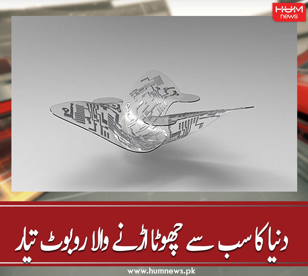humnewspakistan's tweet photo. دنیا کا سب سے چھوٹا اڑنے والا روبوٹ تیار
تفصیل پڑھیں: https://t.co/c75NAwcgU7
۔۔۔۔۔۔۔۔۔
#HumNews #FlyingDevice #SmallestRobot #Microflyer https://t.co/RAHoxvTJa2