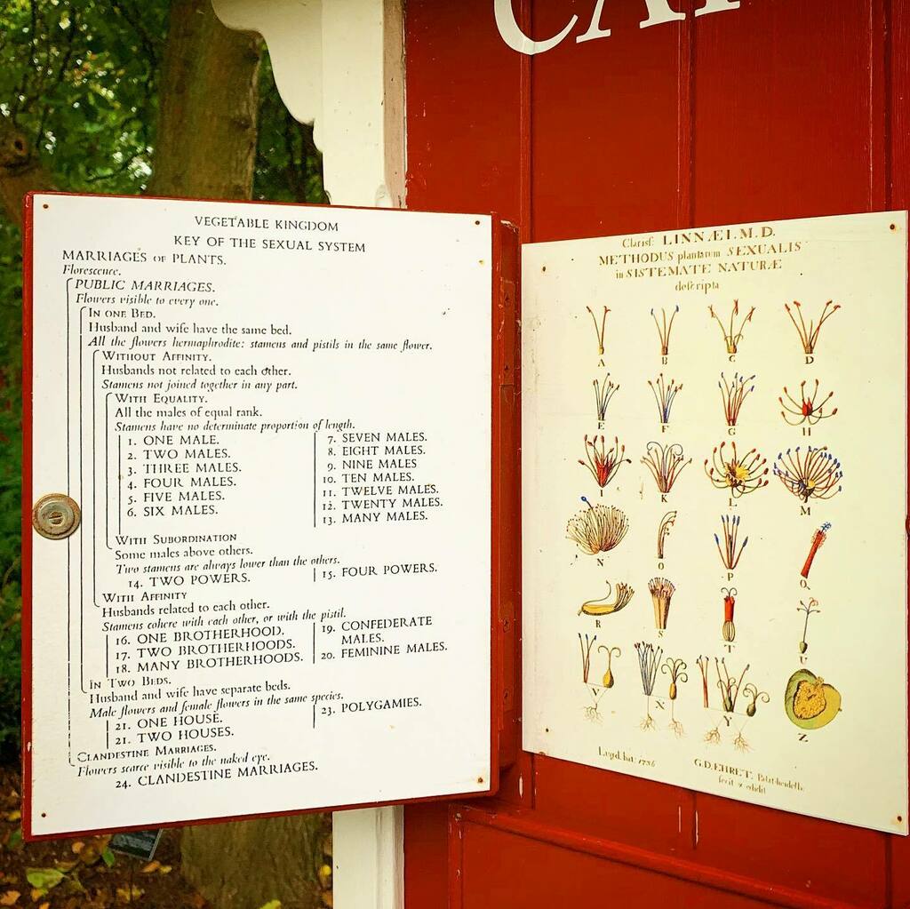 malumpfy's tweet photo. Sex and drugs and rock’n’ roll. More hedonism from the Chelsea Physic Garden on Saturday
#sexanddrugsandrockandroll #chelseaphysicgarden #swanwalk #sirjohnsoane #chelseainbloom #chelseaflowershow #chelseahistorymonth #physicgarden #royalhospitalroad #… https://t.co/KBHwT1m67j https://t.co/Us82pS2FL8
