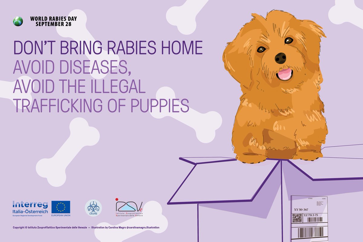 HelpAnimals25's tweet photo. Today is #WorldRabiesDay and although the UK had been rabies free since the beginning of the 20th, the risk of the reintroduction of rabies remains with illegal #pet imports and #puppy smuggling
#onevoiceforanimals #AnimalWelfare https://t.co/kjKrudQGQ0