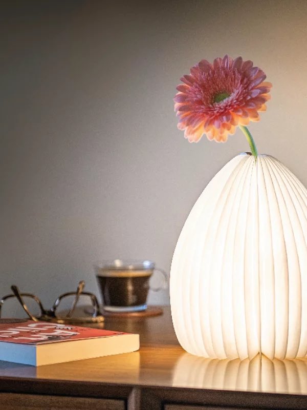 This pretty paper oval-shaped table light has a cleverly hidden tube for filling with your favourite flowers. 

With free delivery and hand wrapped, that’s the Bennetts touch. 

bennettsofderby.co.uk/product/smart-…

#uniquegifts #shoplocal #autumnvibes