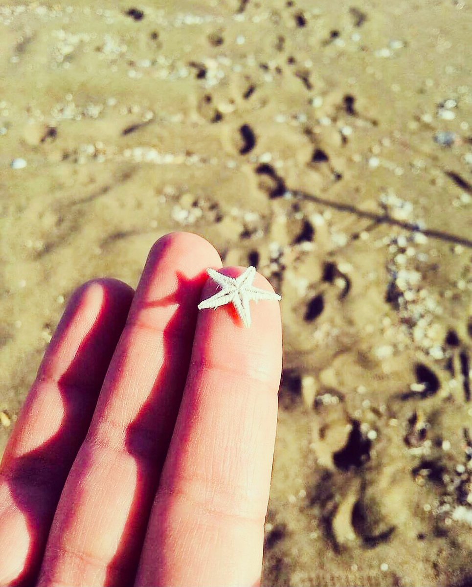 KumlukLounge's tweet photo. Engüzel heykelleri doğa yaratıyor.
Bu minik deniz yıldızının kusursuz güzelliği bunun ispatı⭐️
#datça #datca #deniz #denizyıldızı #doğa #huzur #tatil #datcadayasam #kumlukplajı #travel #holiday #photography
@datcabelediyesi https://t.co/SKYowMoWT8