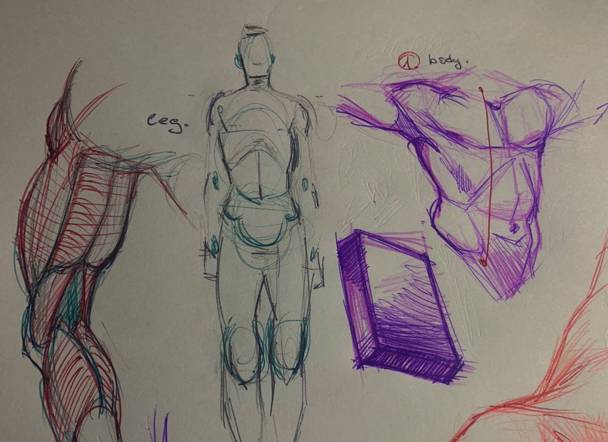 psyhomyart's tweet photo. #art #anatomy https://t.co/lLzZ85xRvB